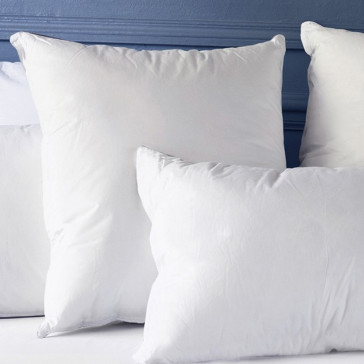 The Hypo-Allergenic Pillow